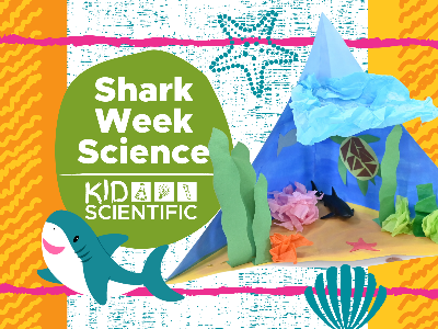 Shark Week Science Workshop (5-12 Years)